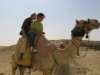 Camel01.jpg